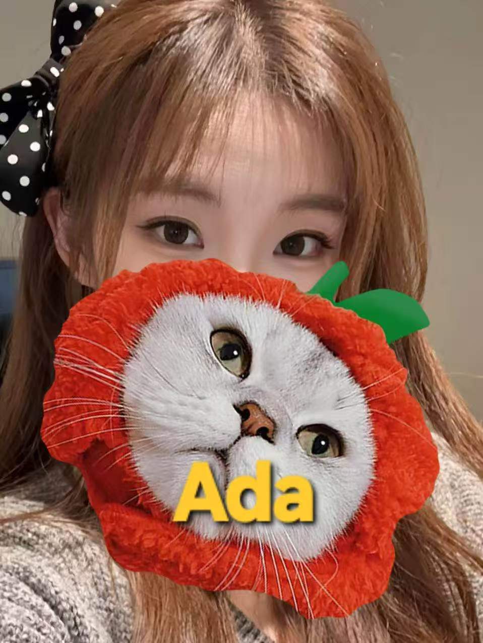 Ada